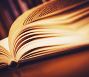 ご購入フォーム